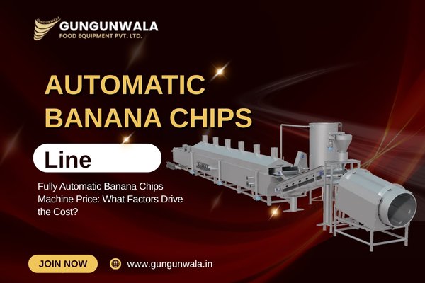 Fully Automatic Banana Chips Machine Price: What Factors Drive the Cost?