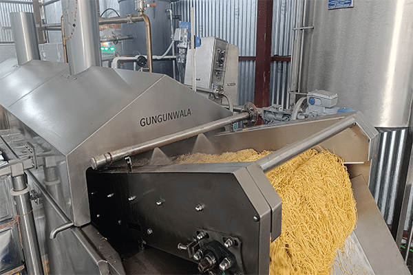 Aloo Bhujia Sev Making Machine with Automatic Fryer