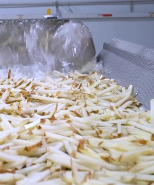 Frozen French Fries Making Machine Suppliers in Gujarat