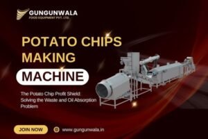 The Potato Chip Profit Shield: Solving the Waste and Oil Absorption Problem