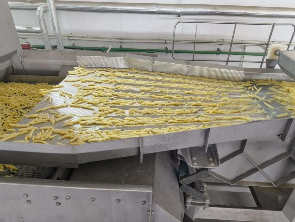 Frozen French Fries Making Machine